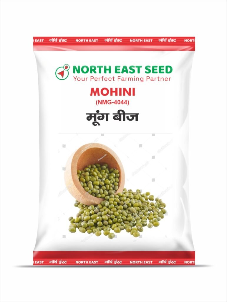 Mohini NMG 4044