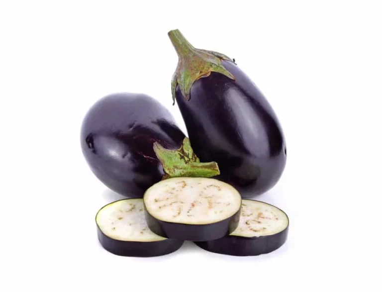 Brinjal
